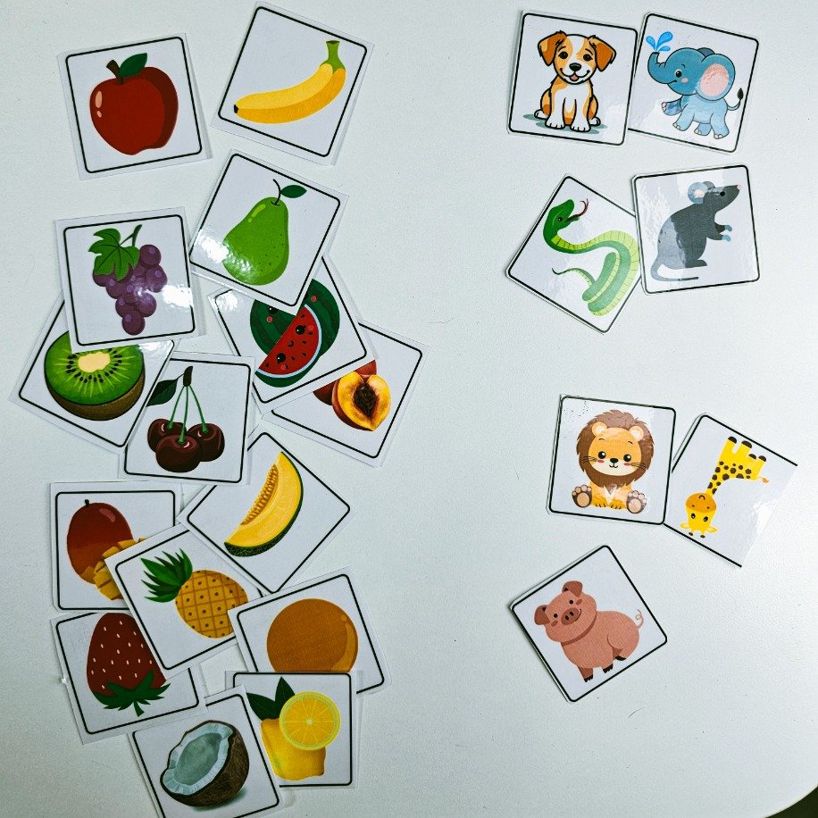 Lingucat Renkli Baskı ve Laminasyonlu İngilizce Ders Materyalleri görseli