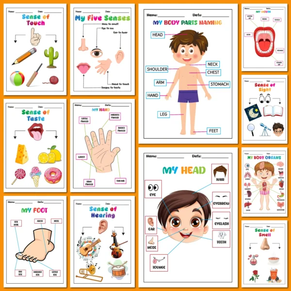 body parts ürün görseli