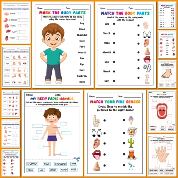 body parts ürün görseli