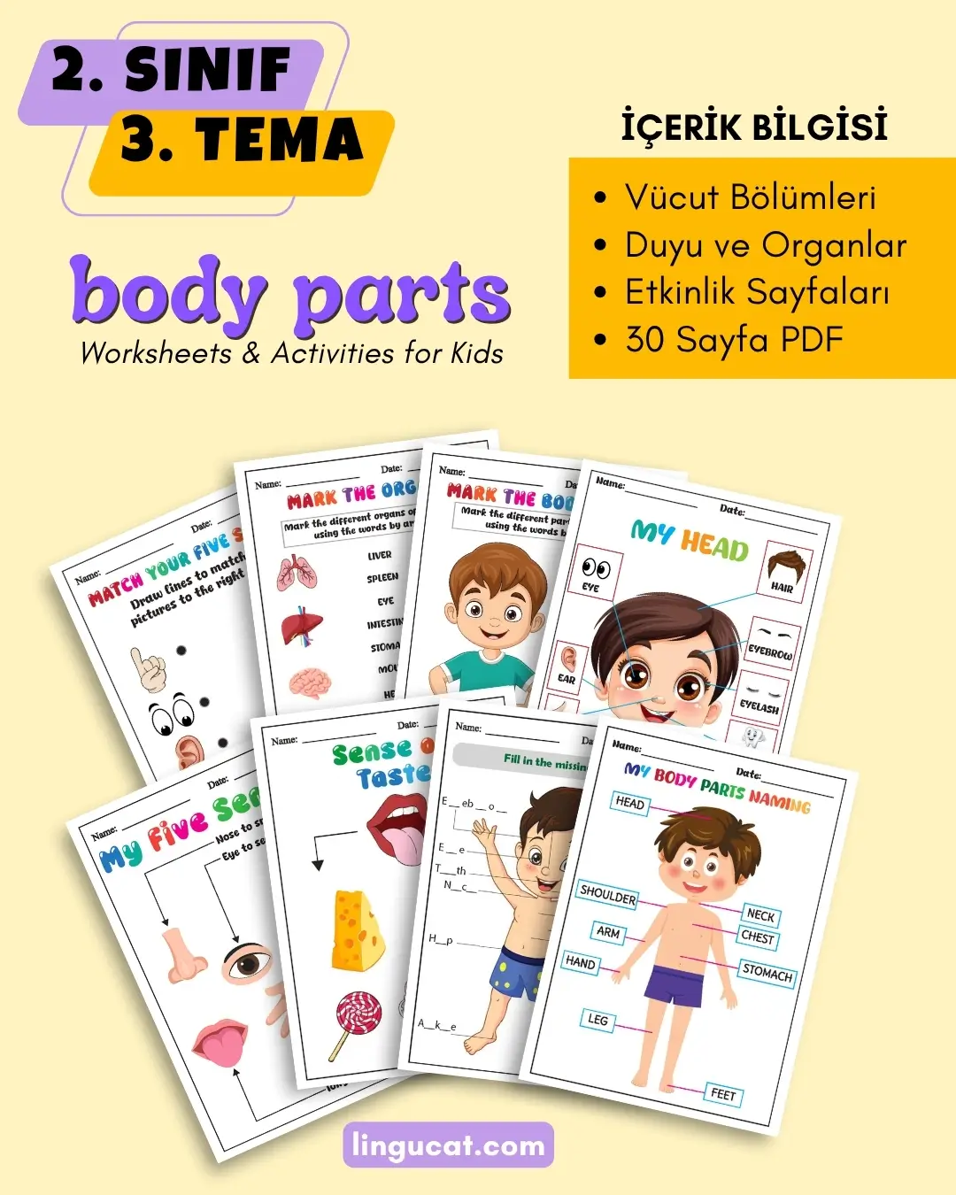 body parts ürün görseli