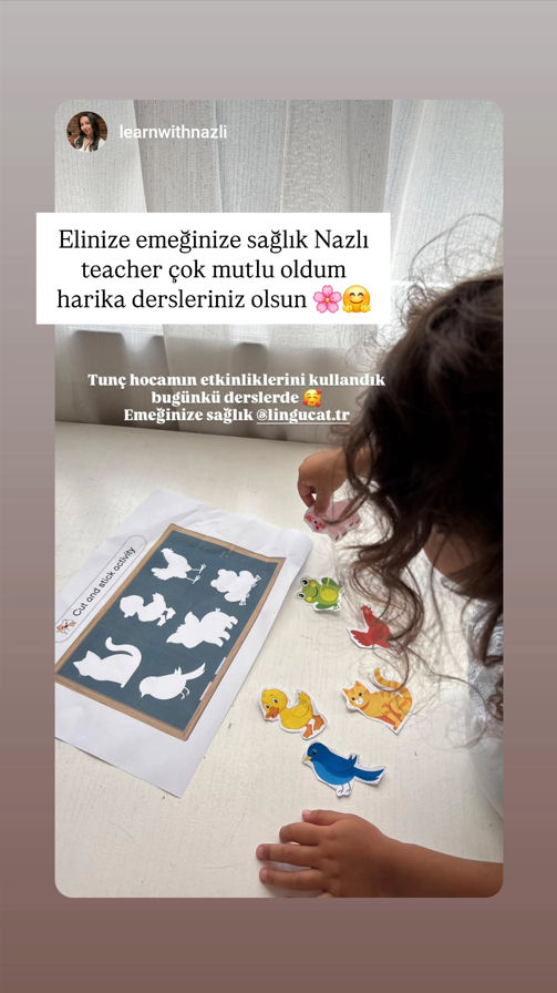 Ekran görüntüsü 2025-11-11 085203